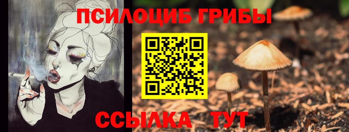 Псилоцибиновые грибы GOLDEN TEACHER Астрахань