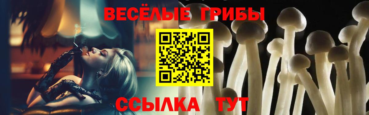 Псилоцибиновые грибы Psilocybe  Галлюциногенные грибы GOLDEN TEACHER  Вход с VPN  Астрахань 